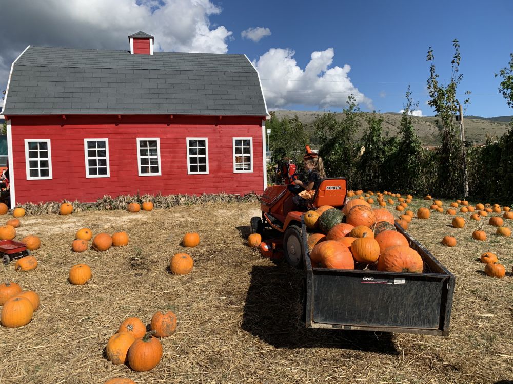Il Giardino delle Zucche di Pignataro Maggiore, in provincia di Caserta, foto Annalisa Spinosa