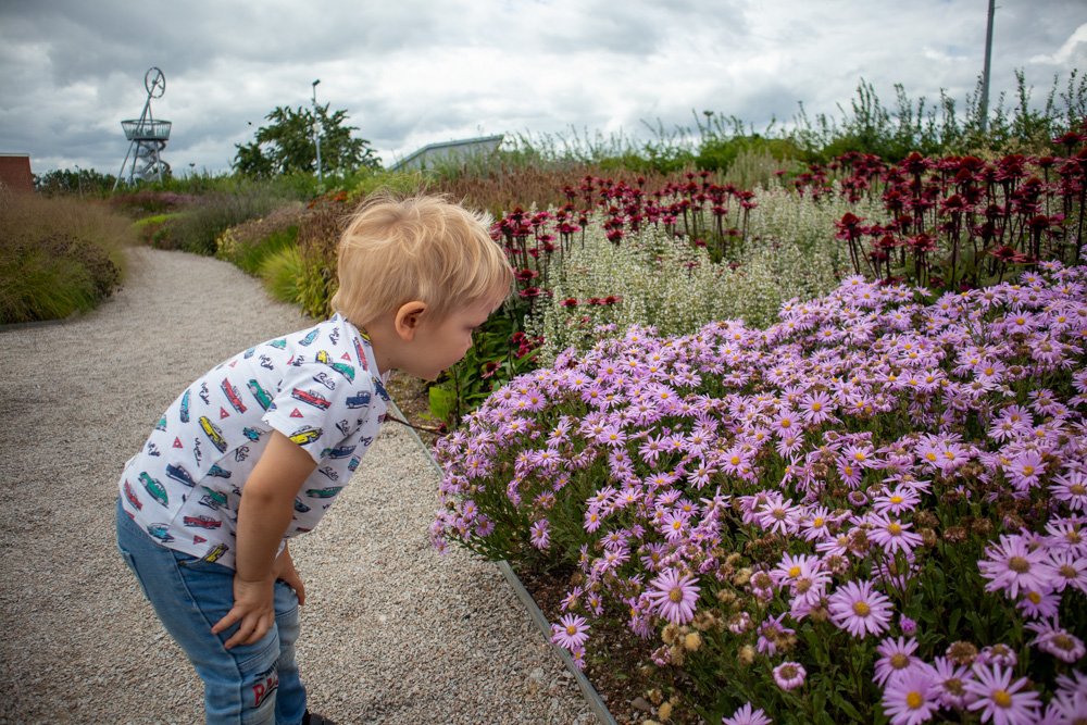 Il Baby Blogger nel giardino Oudolf Garten al Vitra Campus di Weil am Rhein in Germania