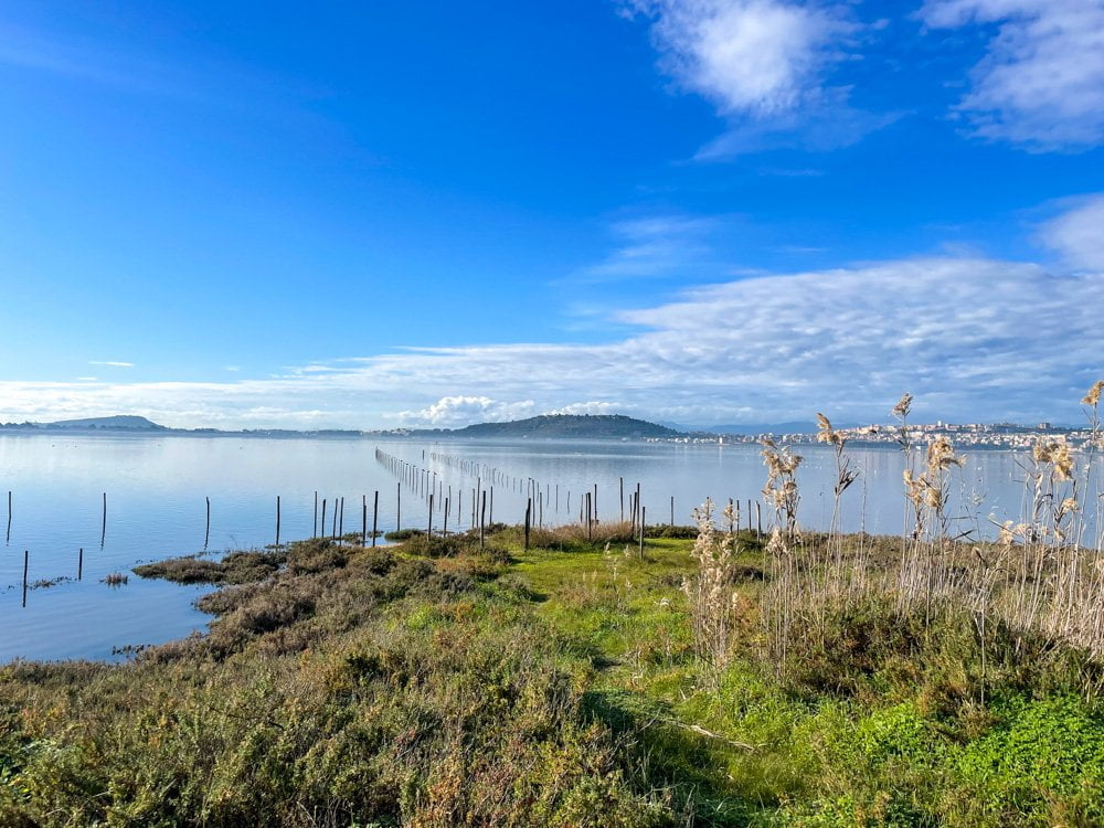 Lo stagno del Molentargius in cui nidificano i fenicotteri rosa, parte del Parco Naturale Regionale Molentargius Saline
