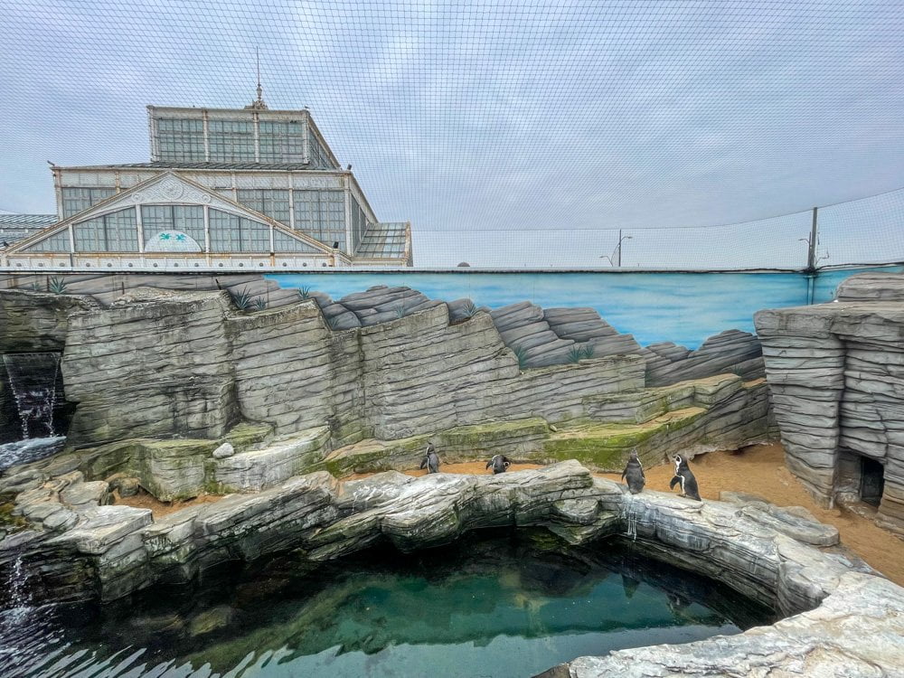 L'area dei pinguini all'aperto all'acquario SEA LIFE di Great Yarmouth, con lo sfondo del molo sulla spiaggia