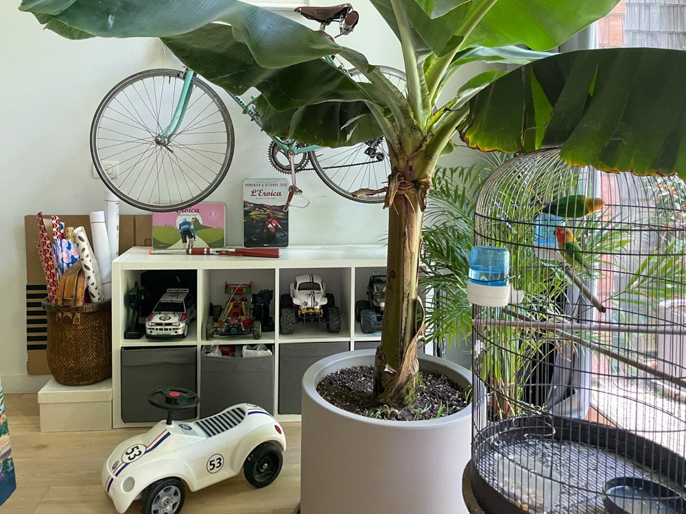 Condominio 25 Verde di Torino