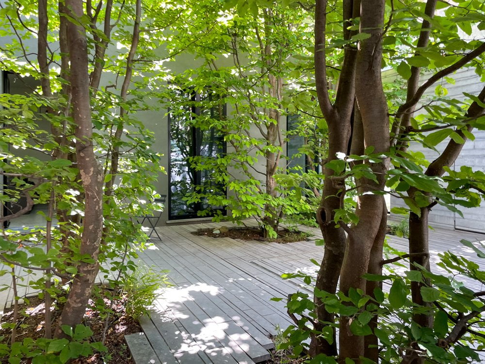 La casa tra gli alberi a Torino