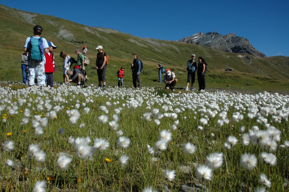 Turisti nel Parco del Gran Paradiso, foto Enzo Massa Micon