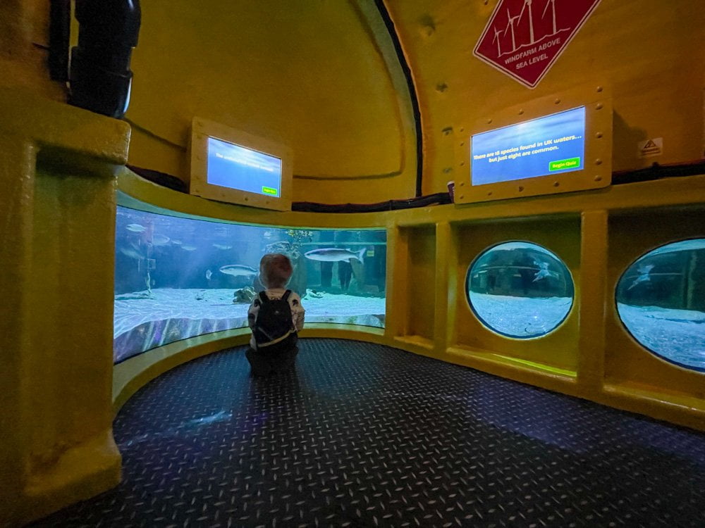 Area con sottomarino a SEA LIFE Great Yarmouth