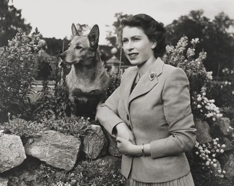 La Regina Elisabetta fotografata da Lisa Sheridan nel 1954 con uno dei suoi cani corgi