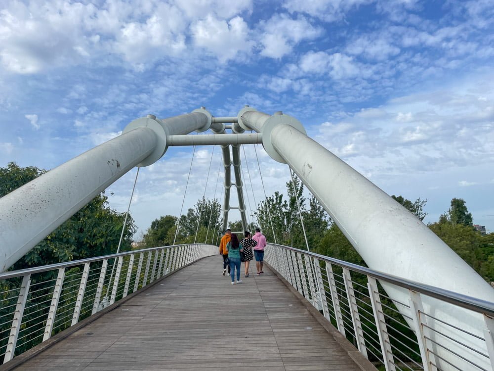 La passerella che passa sopra il Jardin del Turia e collega la biglietteria con le aree del BIOPARC Valencia