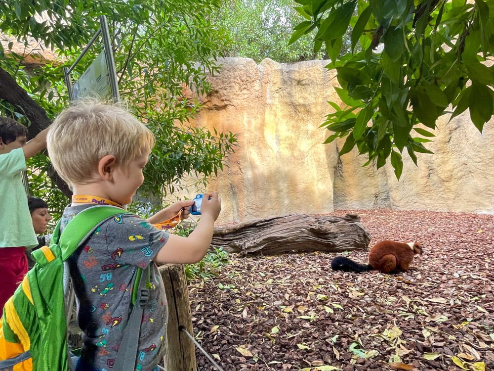 Figlio di Paola Bertoni mentre fotografa un lemure al BIOPARC Valencia
