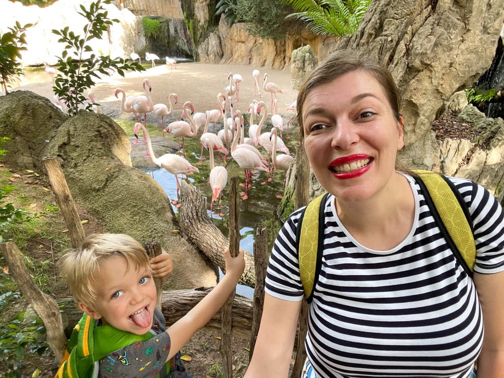 Paola Bertoni e figlio davanti allo stagno dei fenicotteri al BIOPARC Valencia