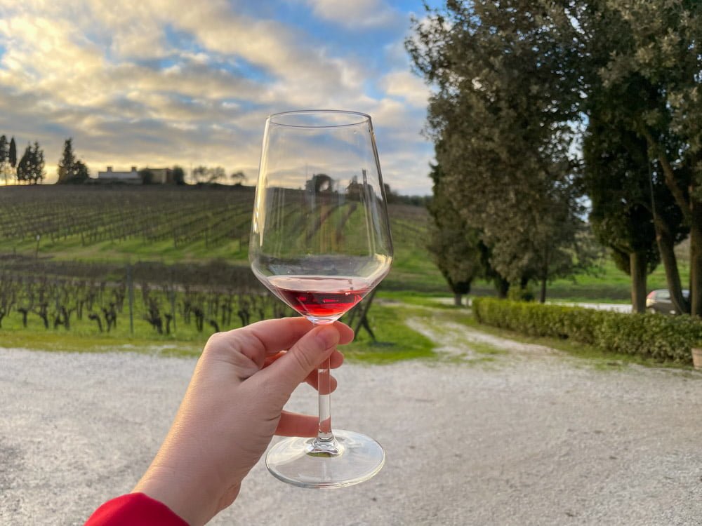 Degustazione di vini da Beconcini Wines a San Miniato