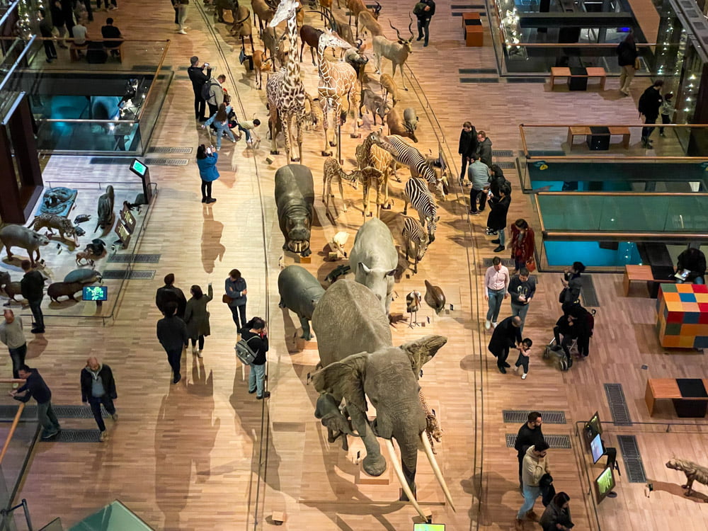 Vista dall'alto della Grande Galleria dell'Evoluzione di Parigi