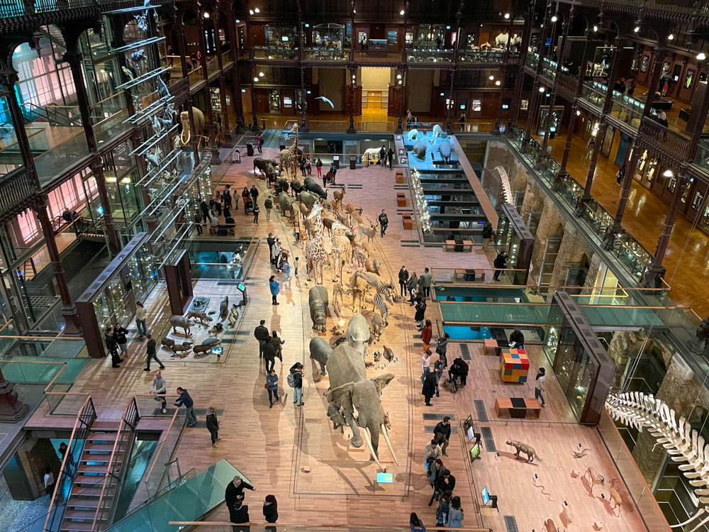 Vista dall'alto della Grande Galerie de l'Evolution di Parigi