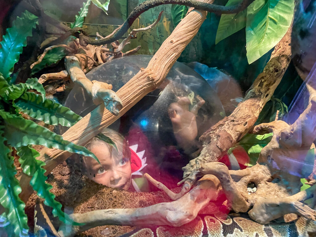 Ben Bertoni dentro la cupola nella teca di un serpente all'Acquario Nazionale di Malta