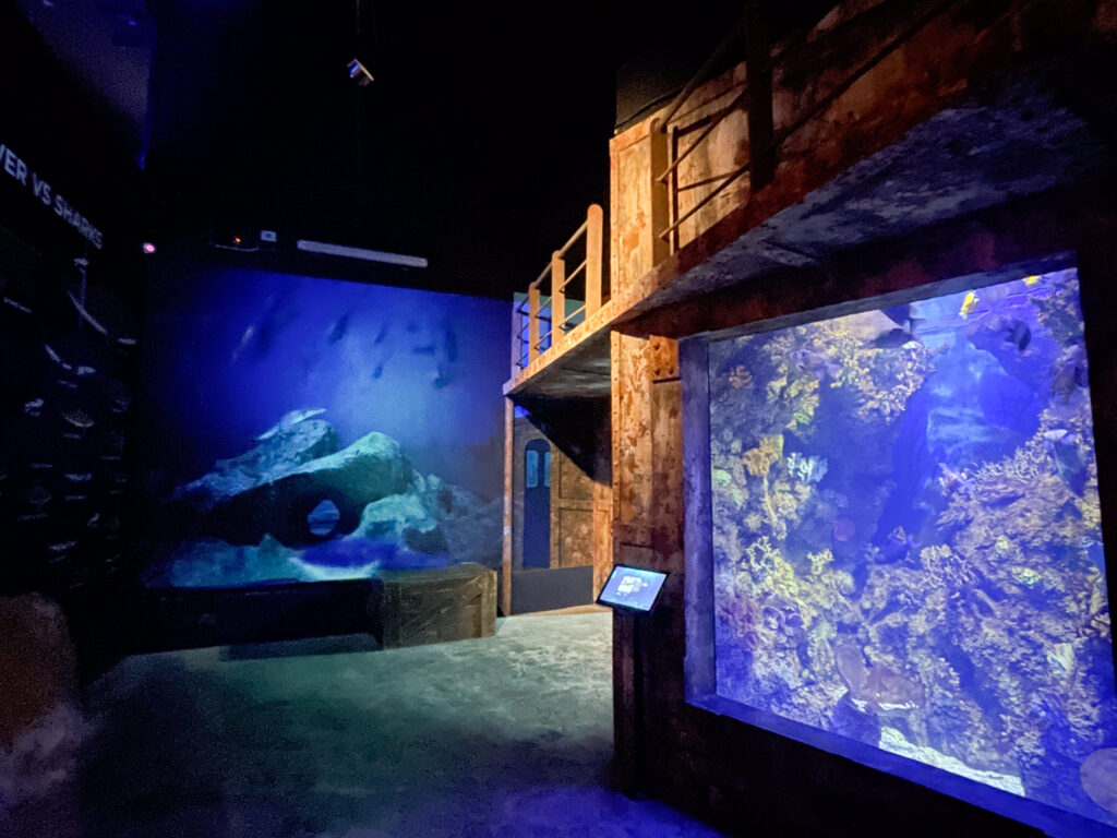 Vasche dell'Acquario Nazionale di Malta