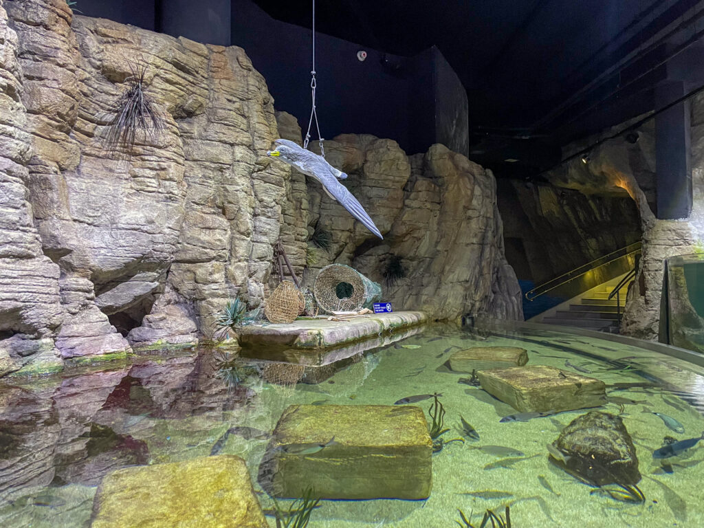 Una vasca dell'Acquario Nazionale di Malta