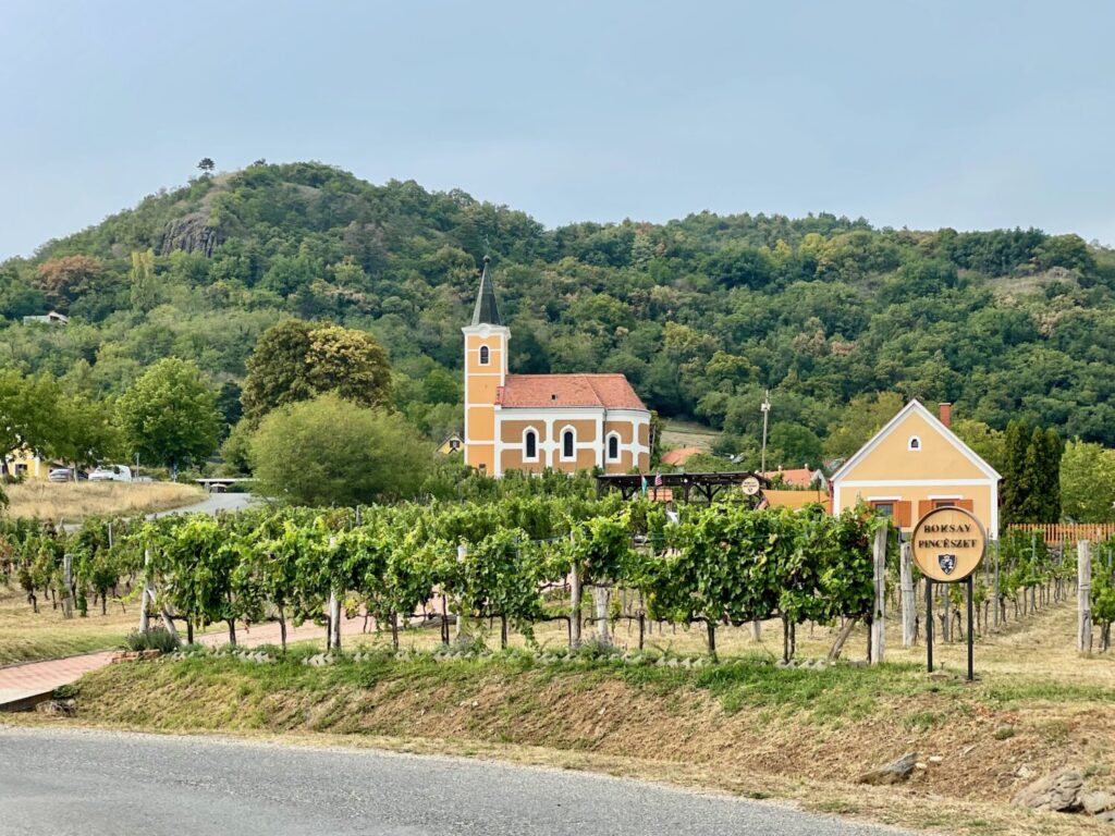 Vigneti nei dintorni del lago Balaton