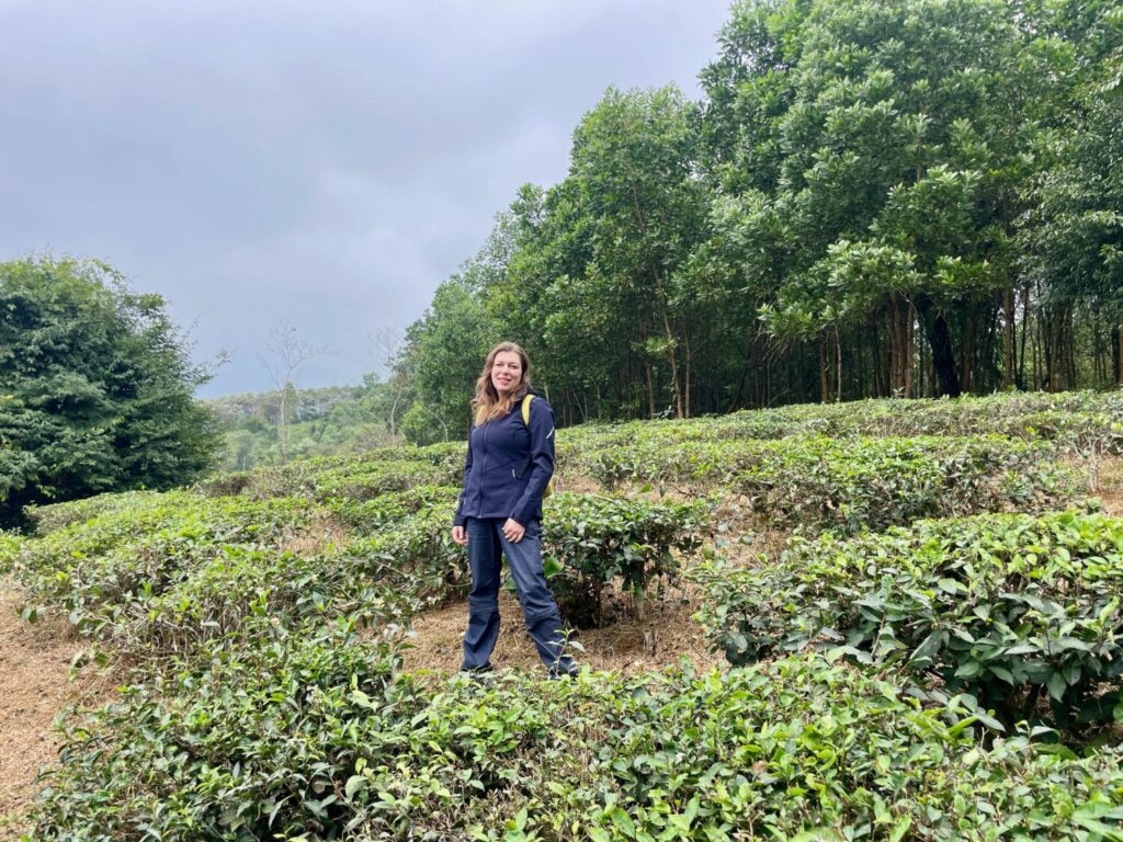 Paola Bertoni in una piantagione di tè a Bac Quang, nel nord del Vietnam