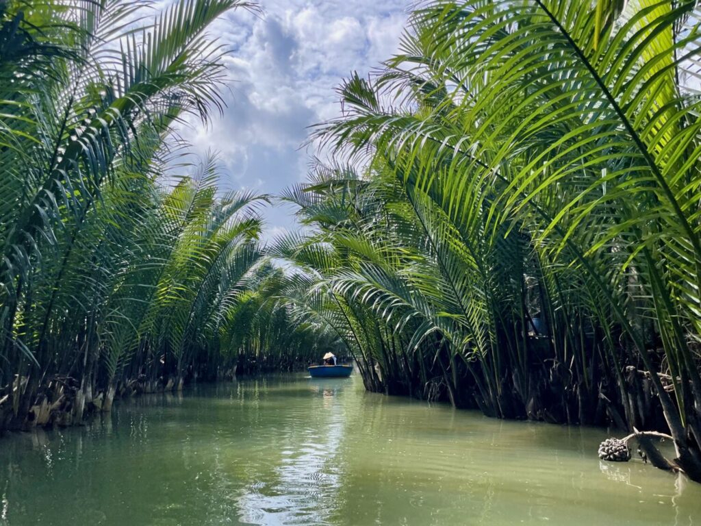 Foresta di cocco nel Delta del Thu Bon, Vietnam