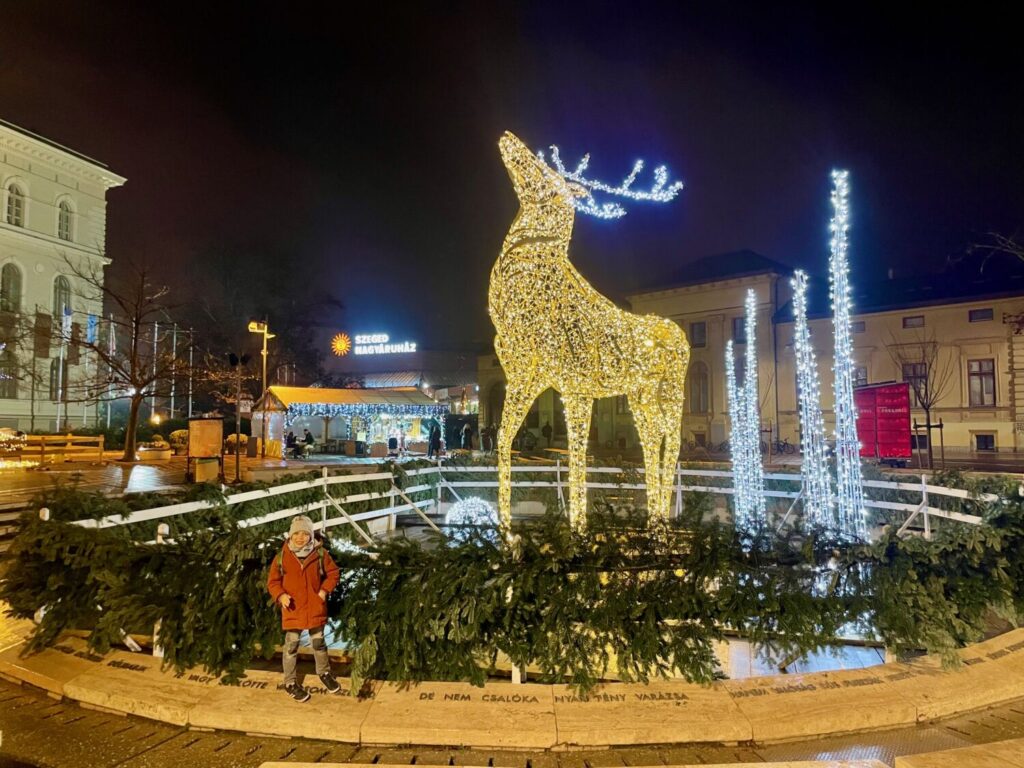 Ben Bertoni davanti a una decorazione natalizia a Szeged, Ungheria