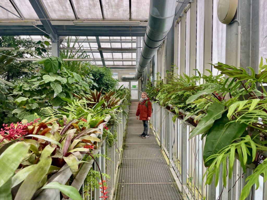 Ben Bertoni in una serra dell'Orto Botanico di Szeged, Ungheria