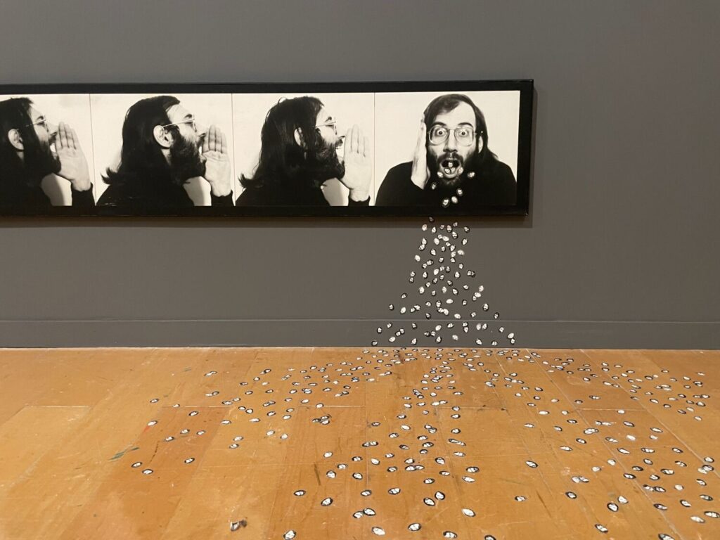 Installazione artistica di Jean-Claude Guillaumon al Museo di Arte Contemporanea di Lione