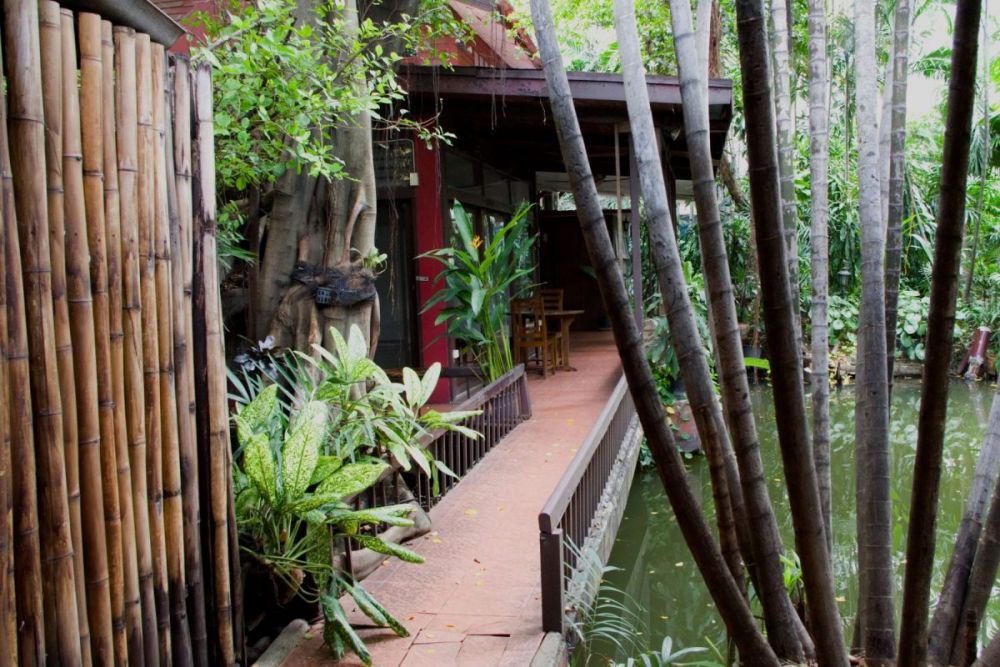 Il giardino di Turtle House, la casa di Tiziano Terzani a Bangkok