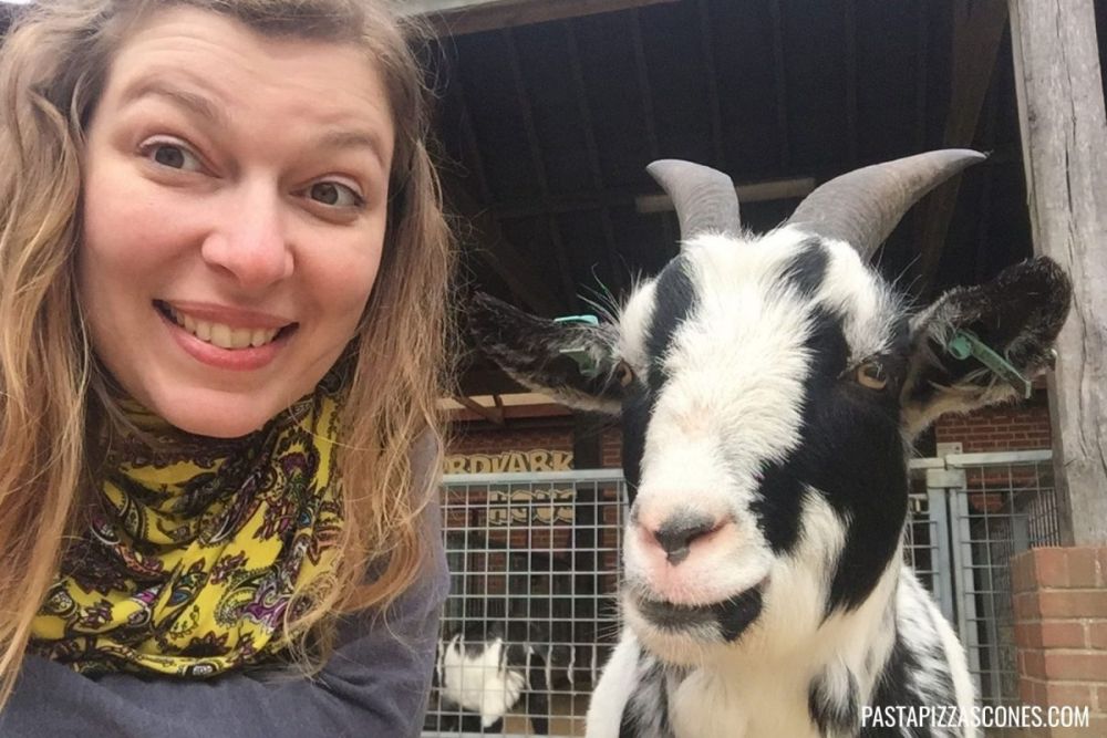 Paola al parco Africa Alive! a Kessingland