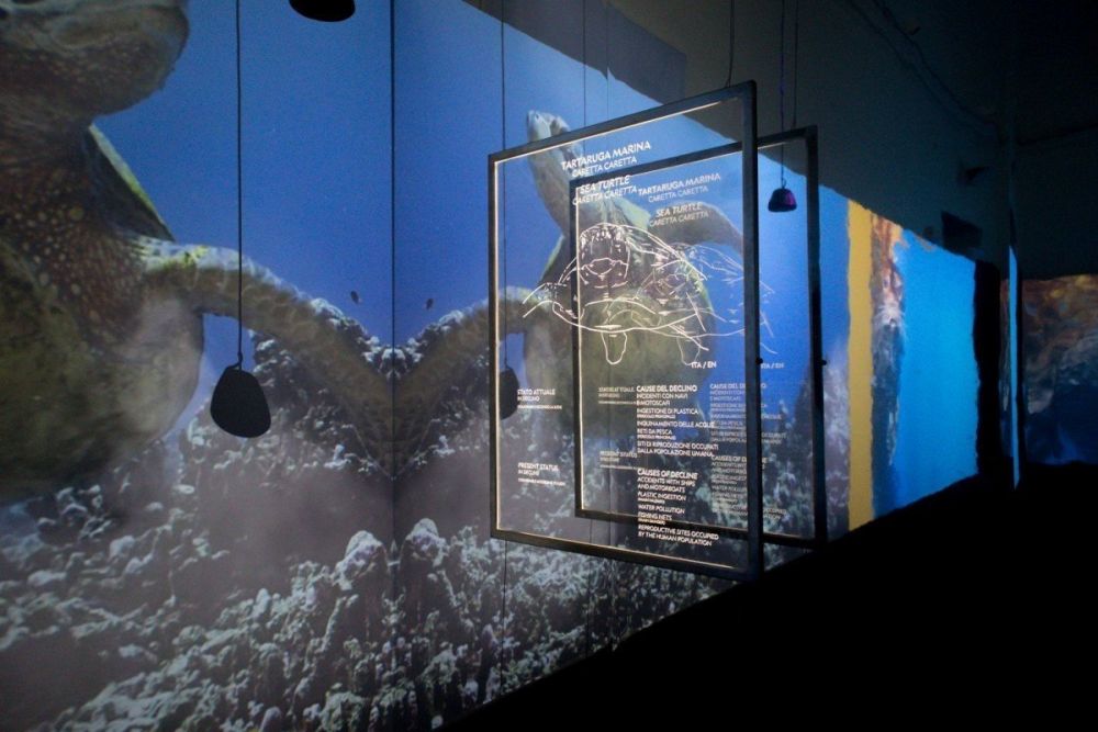 La prima sala della mostra Capire il cambiamento climatico – Experience exhibition di National Geographic con l'ambiente acquatico presentato dalla specie animale delle tartarughe marine