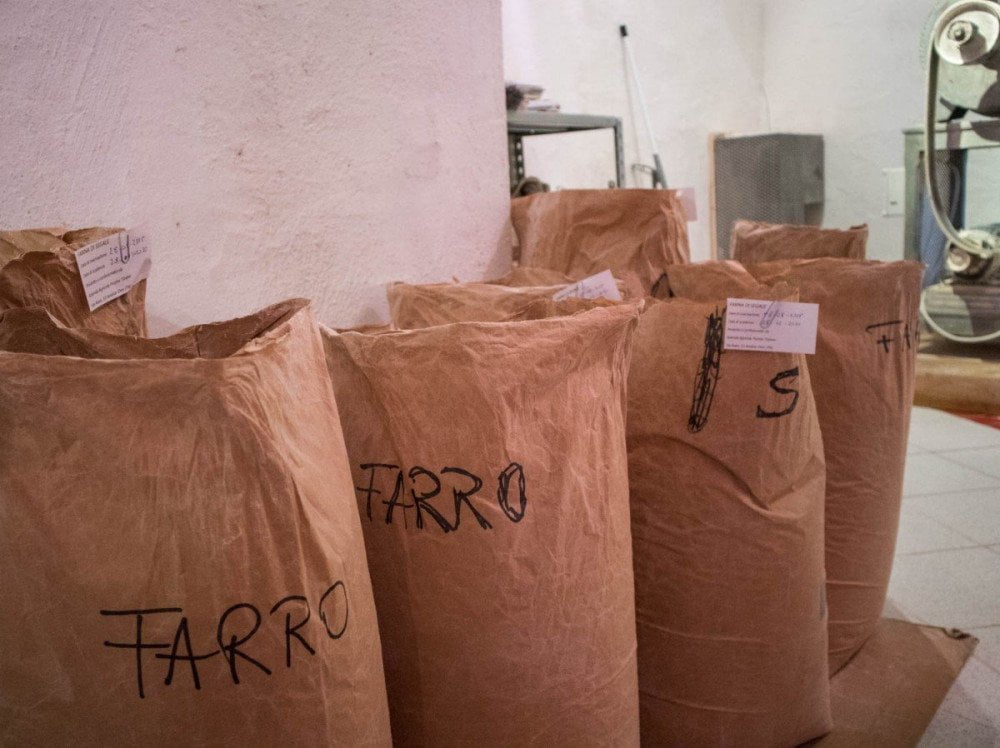 Farine integrali semintegrali macinate a pietra Dal gran al pan nel mulino dell'azienda agricola Pezzini di Sarnonico