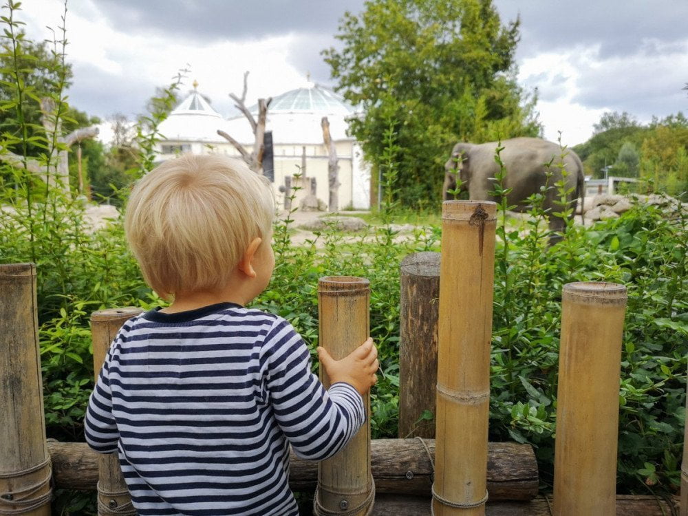 Elephant House allo zoo di Monaco Hellabrunn Tierpark