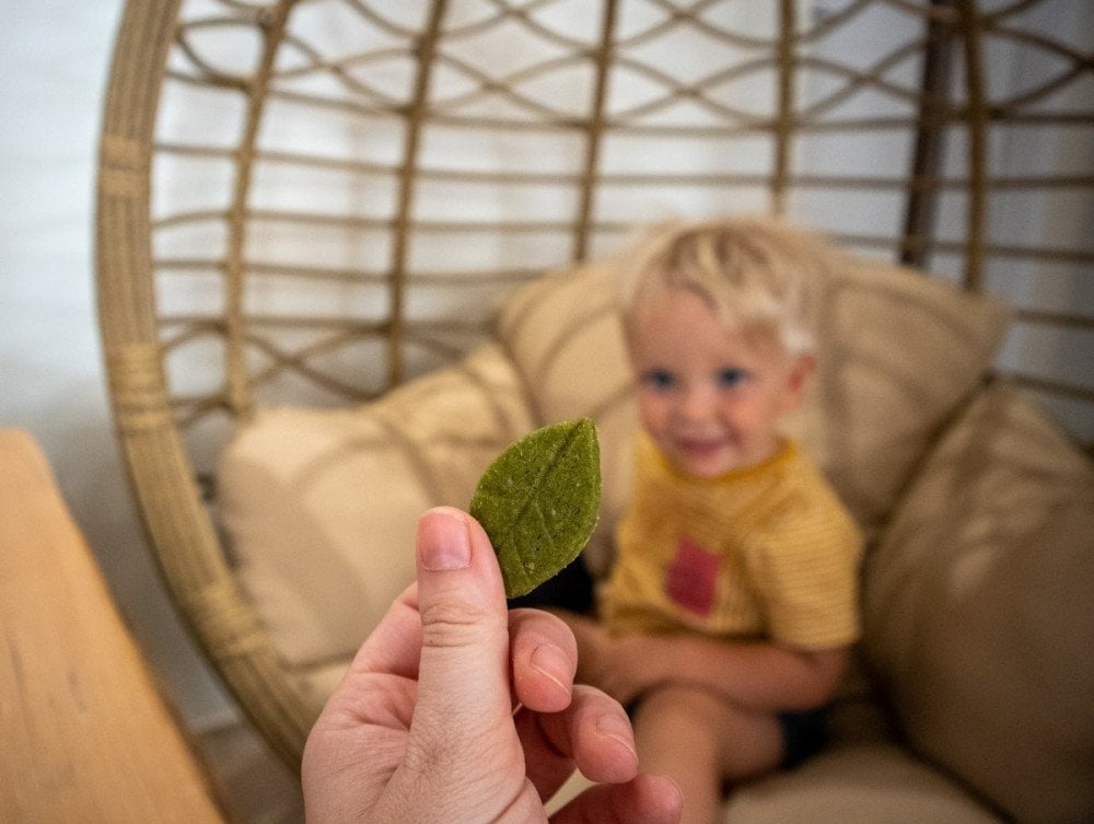 Un biscotto-foglia al tè matcha di Kintsugi tea & cakes e il Britalian baby
