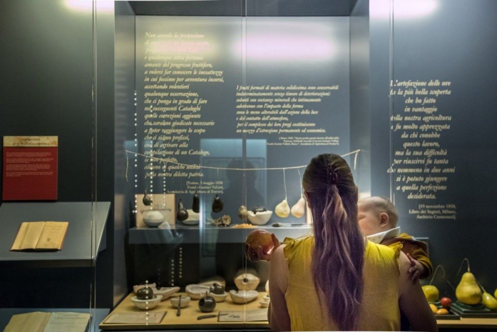 Museo della Frutta di Torino, foto Virginia Barinaga Ʌir Fotografía in stage presso Plastikwombat