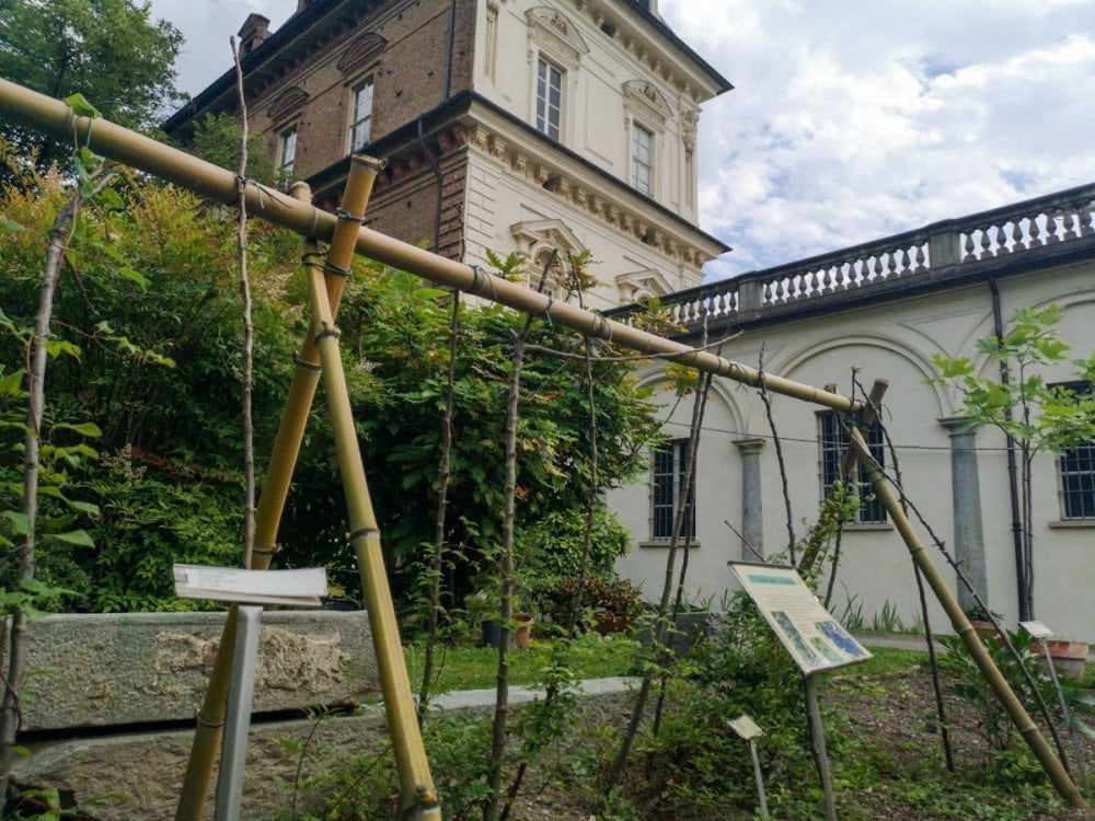 Il Giardino dell'Orto Botanico di Torino con il Castello del Valentino sullo sfondo