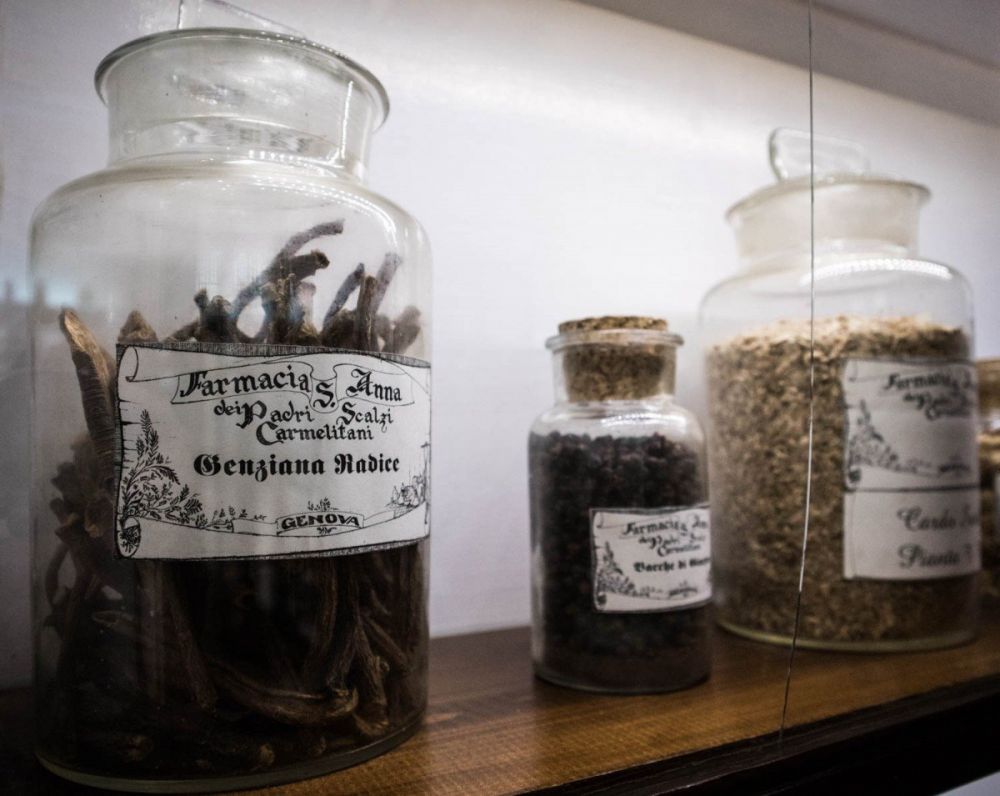 Vasi con erbe e radici essiccate all'Antica Farmacia Sant'Anna dei Frati Carmelitani Scalzi di Genova