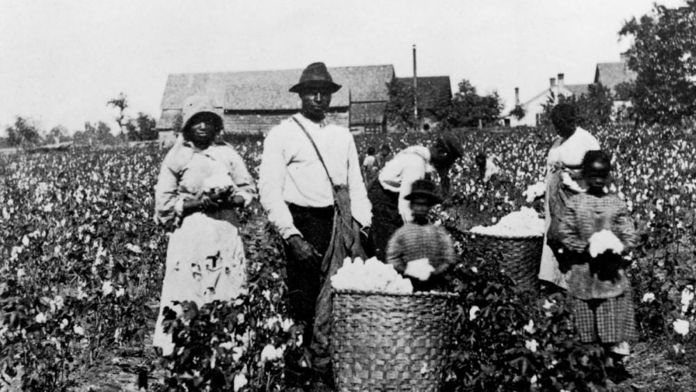 Schiavi nelle piantagioni di cotone